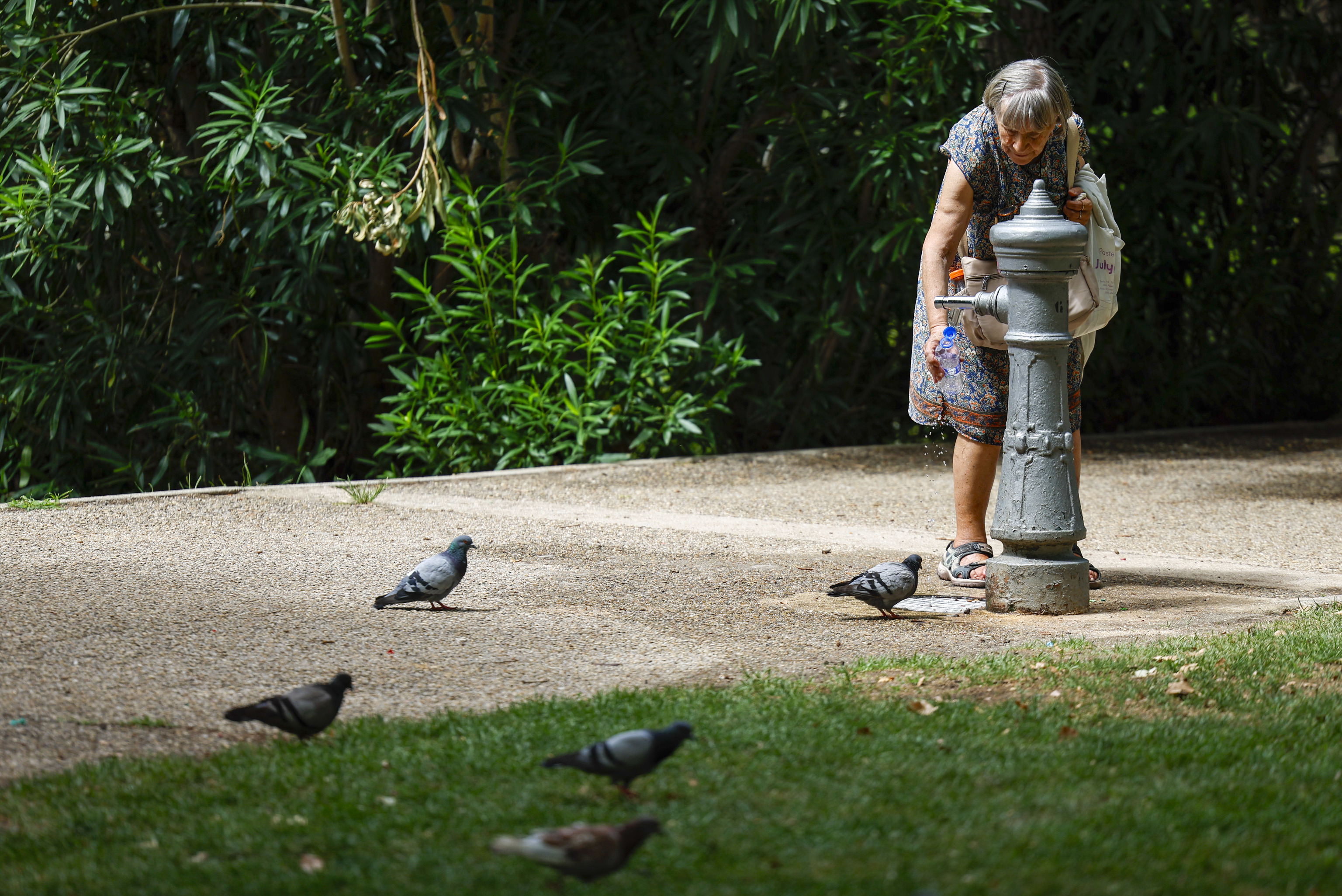Una señora recarga su botella de agua en un parque.