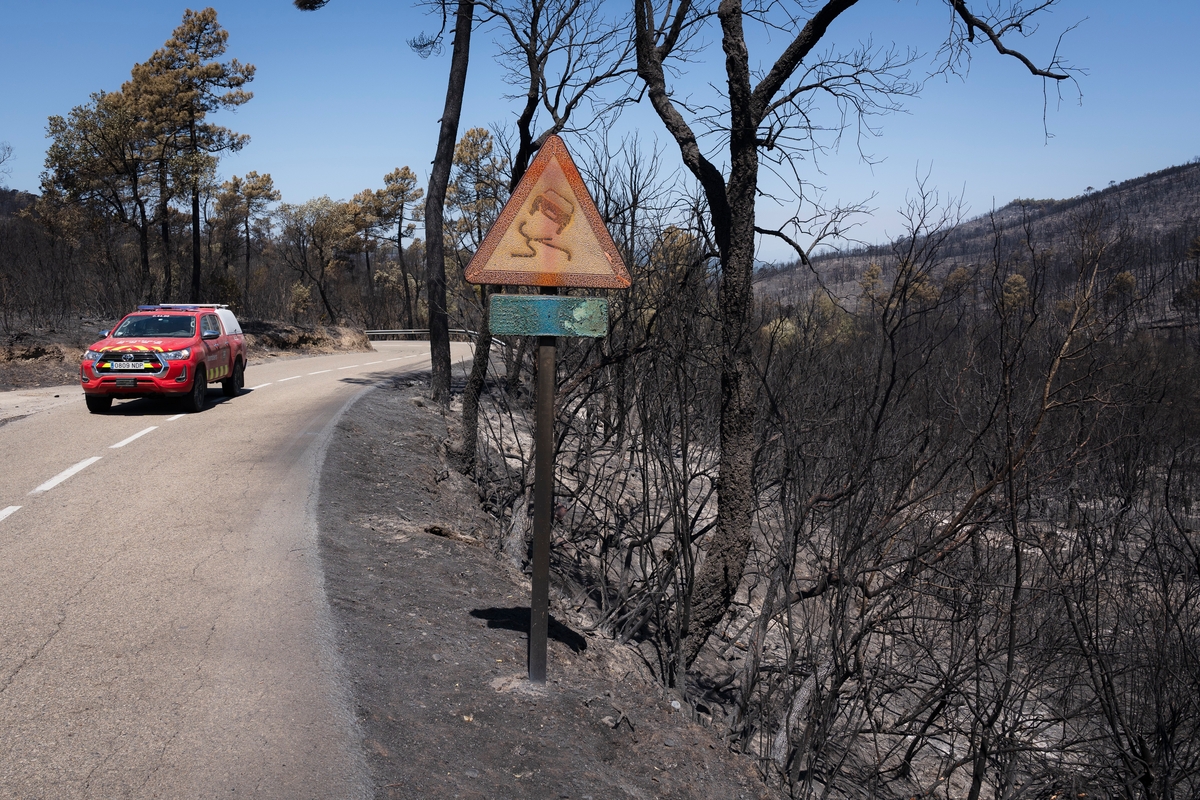 Un vehículo de Bomberos circula por una carretera calcinada por las llamas próxima a la localidad de Calonge (Girona), este domingo. (David Borrat/EFE)