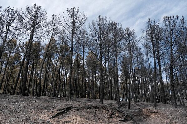 Incendios en España