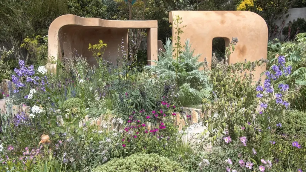 Adiós a la Hortensia: la Monarda y 6 plantas que resisten 40°C sin agua