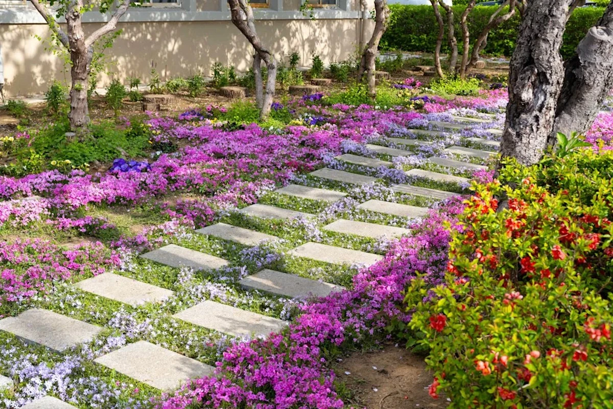 Adiós a las malas hierbas: el truco de expertos con cubre suelos para tu jardín - image 1
