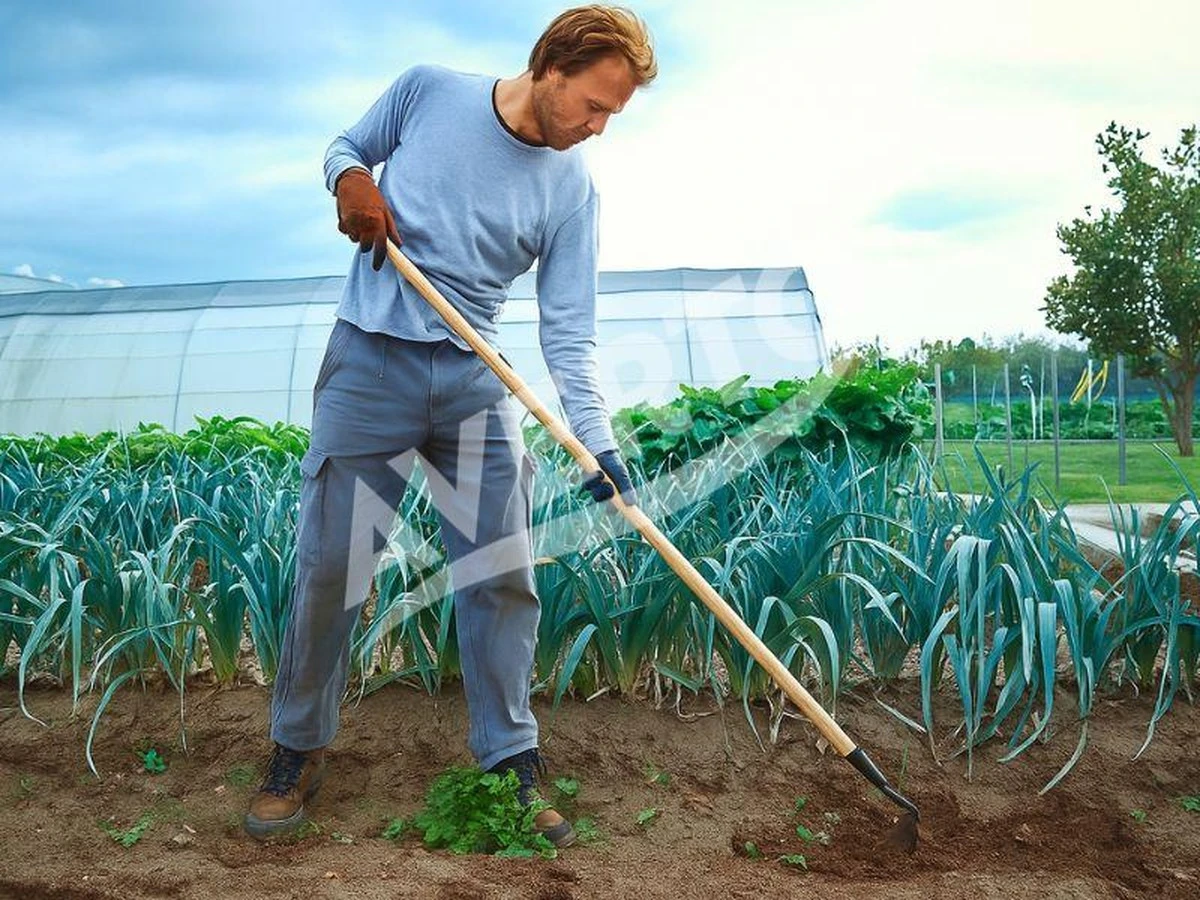 Adiós a las malas hierbas: Corona MAX WeedSLAYER Weeder de Home Depot sin químicos - image 1
