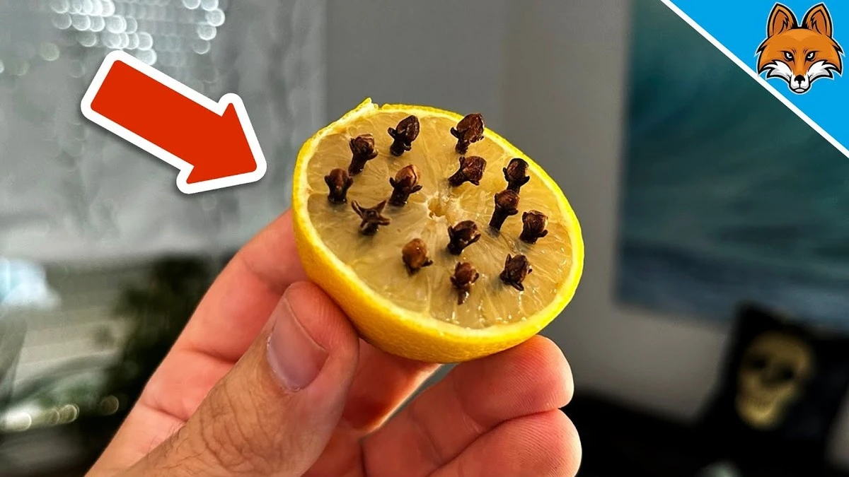 Adiós a las moscas en tu terraza: el truco viral del limón - image 1