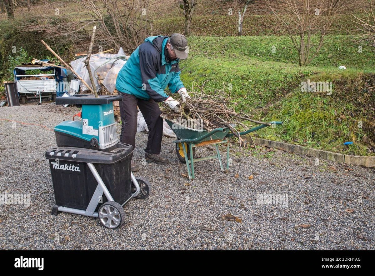 Adiós a las multas: La joya de Lidl y Amazon para limpiar tu jardín - image 1