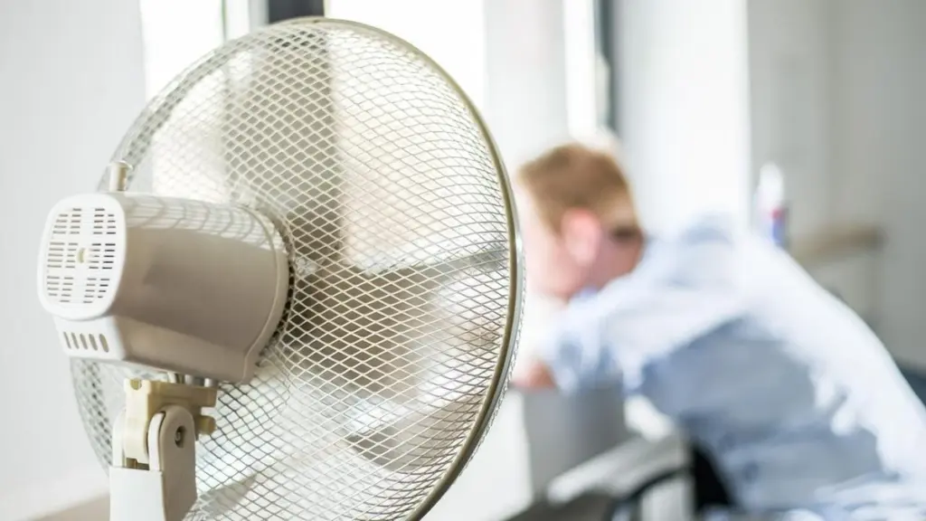Adiós al calor: Michael Wengert de la Hochschule Biberach revela el truco de la toalla