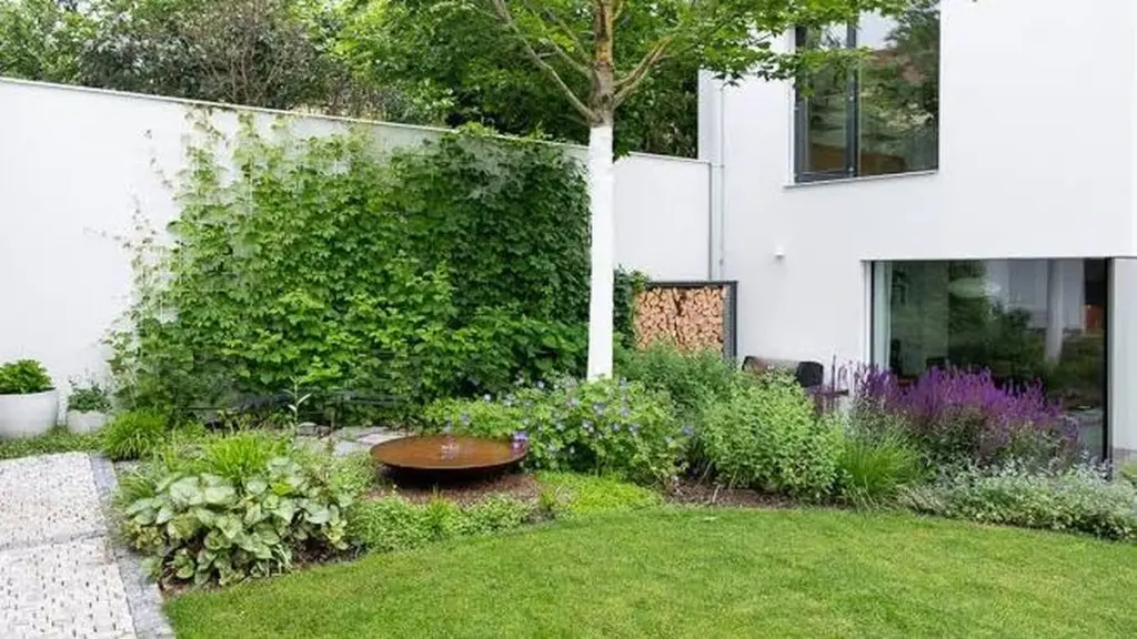 Adiós al calor: refresca tu patio con Vitis vinifera y Parthenocissus tricuspidata