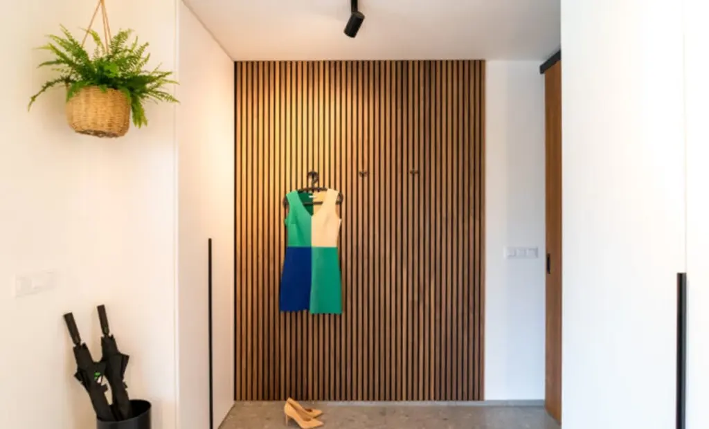 Adiós al caos: el secreto de INDECO y arquitectura y diseño para tu entrada