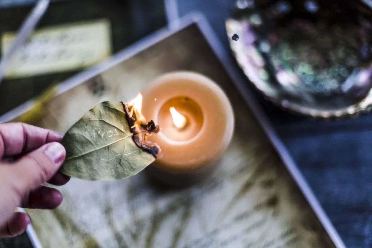 Adiós al estrés en casa: por qué quemar una Hoja de laurel y su Aceite esencial - image 1