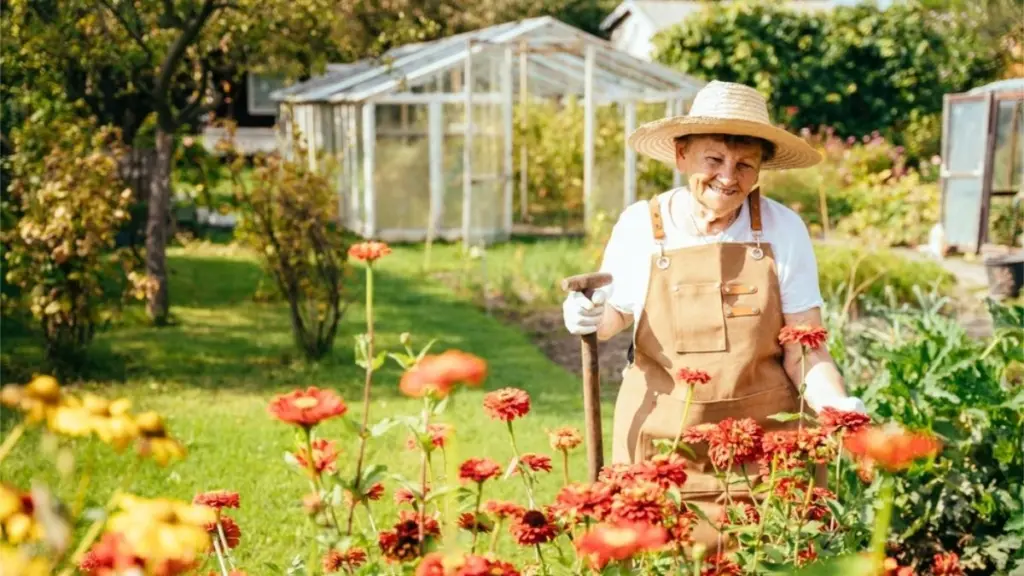 Adiós al minimalismo: por qué planto Rosa y Lilium como mi abuela