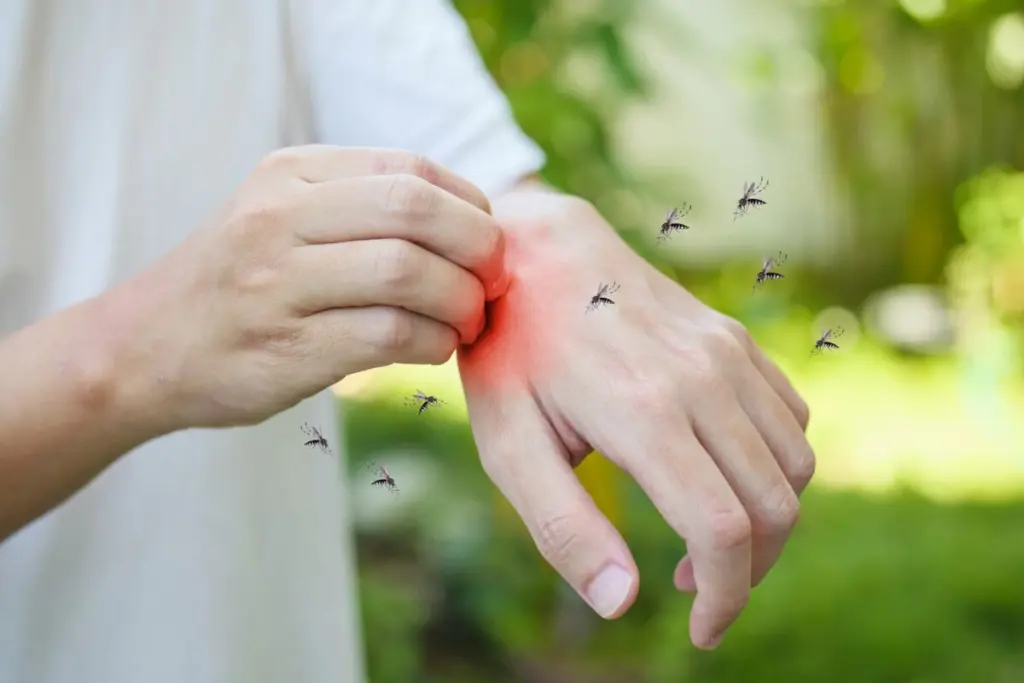 Adiós a los Mosquitos: el truco del DEET y por qué lo de antes ya no funciona