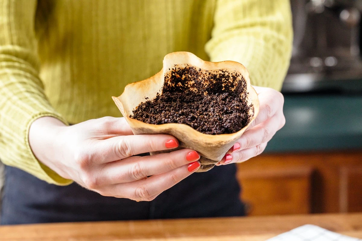 Adiós a los olores en el inodoro: por qué nunca debes tirar los posos de café - image 1