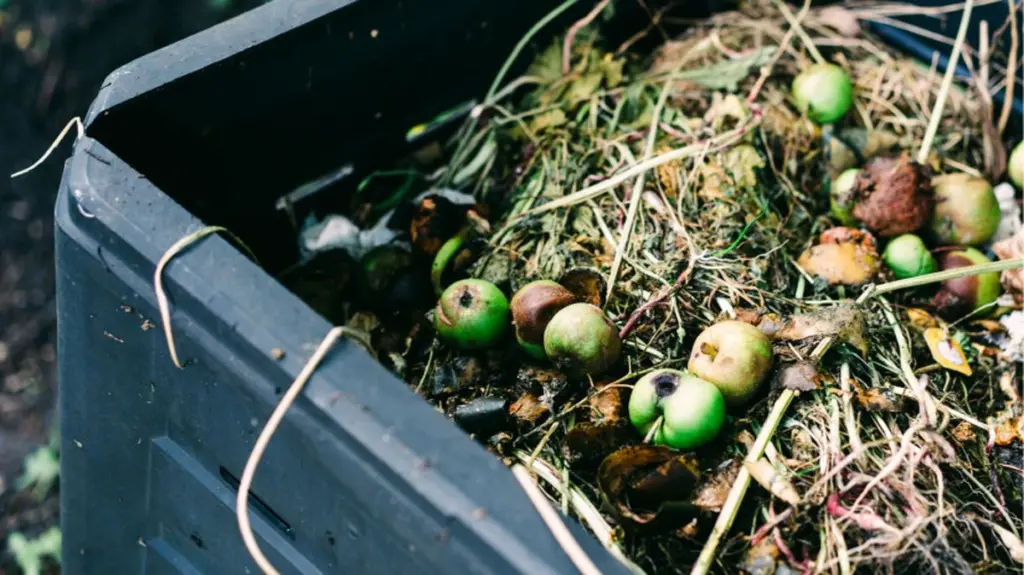 Adiós a tirar basura: cómo lograr humus premium con compostaje casero