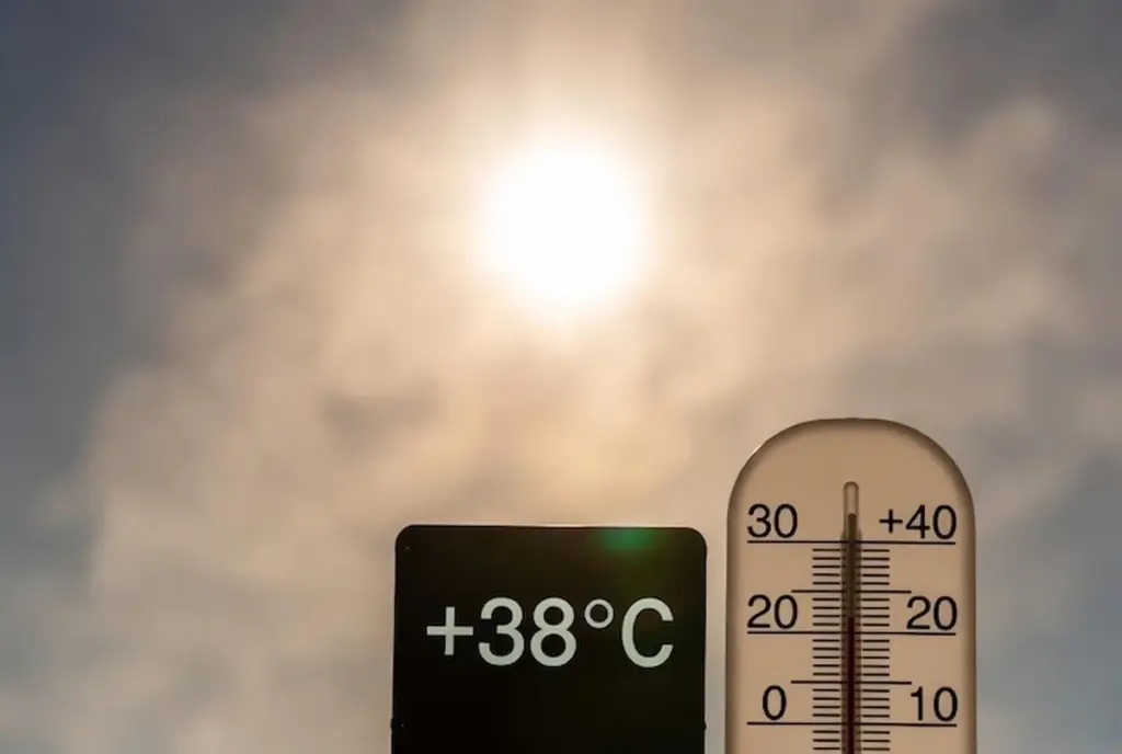 Adiós calor: truco para que tu ventilador enfríe como el aire acondicionado
