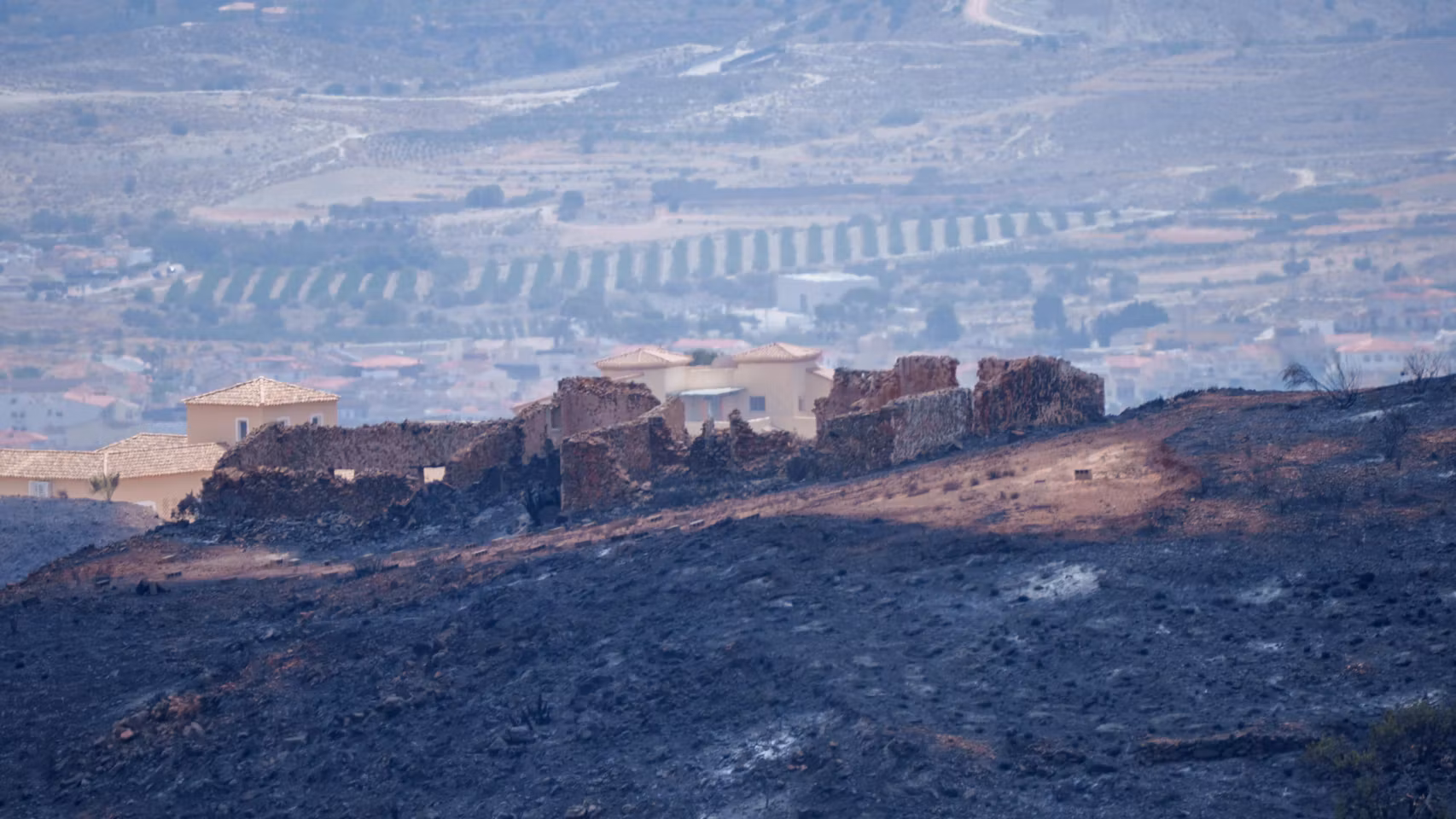 Imagen de la zona afectada por el paso del incendio de Los Gallardos.