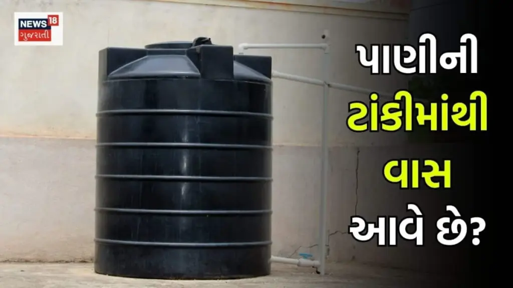 Agua con olor a pescado: limpia tu Tanque de agua este Monzón con 7 trucos