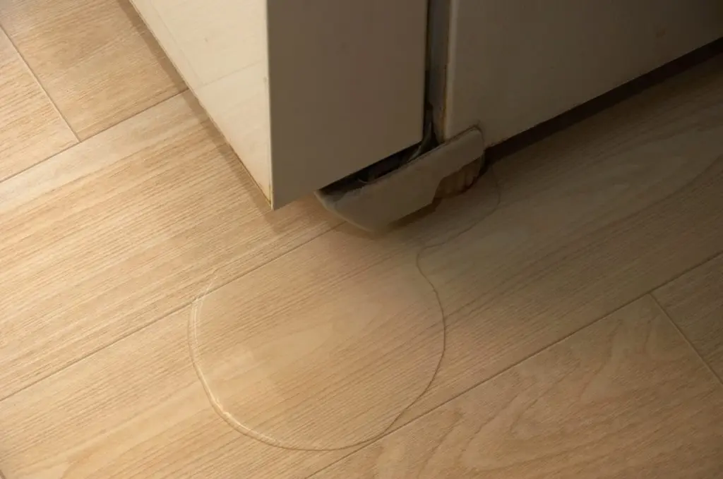 Agua en el refrigerador: el truco de 2 minutos para salvar el compresor