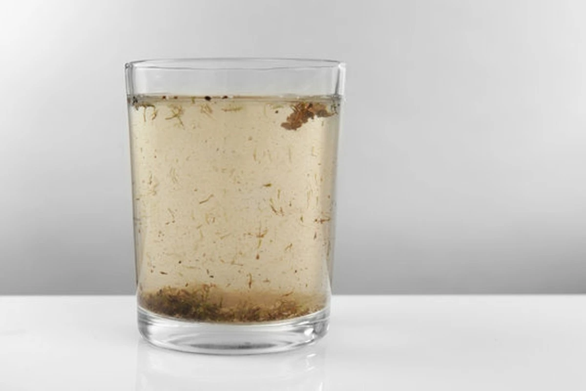 Agua sucia del SIAPA: el truco de 2026 para salvar tu hogar en Guadalajara - image 1