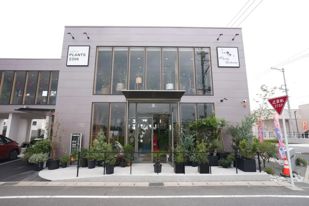 Aire puro en casa: el método de PLANTS2306 y Okazaki para reducir el cortisol