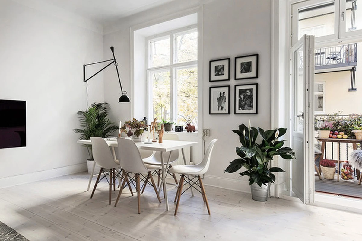 Aire puro sin estrés: el truco para cuidar tu Spathiphyllum wallisii en casa - image 1