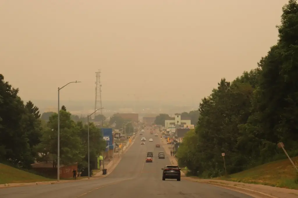Aire tóxico en el negocio: el plan de Sault Ste. Marie y su Cámara de Comercio