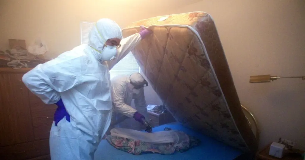 Alerta en Hartford (Connecticut): el método para evitar las Chinches de cama