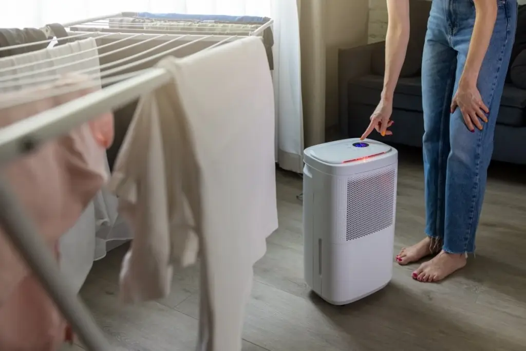 Ambiente pegajoso: por qué un deshumidificador LG Electronics te ahorrará dinero