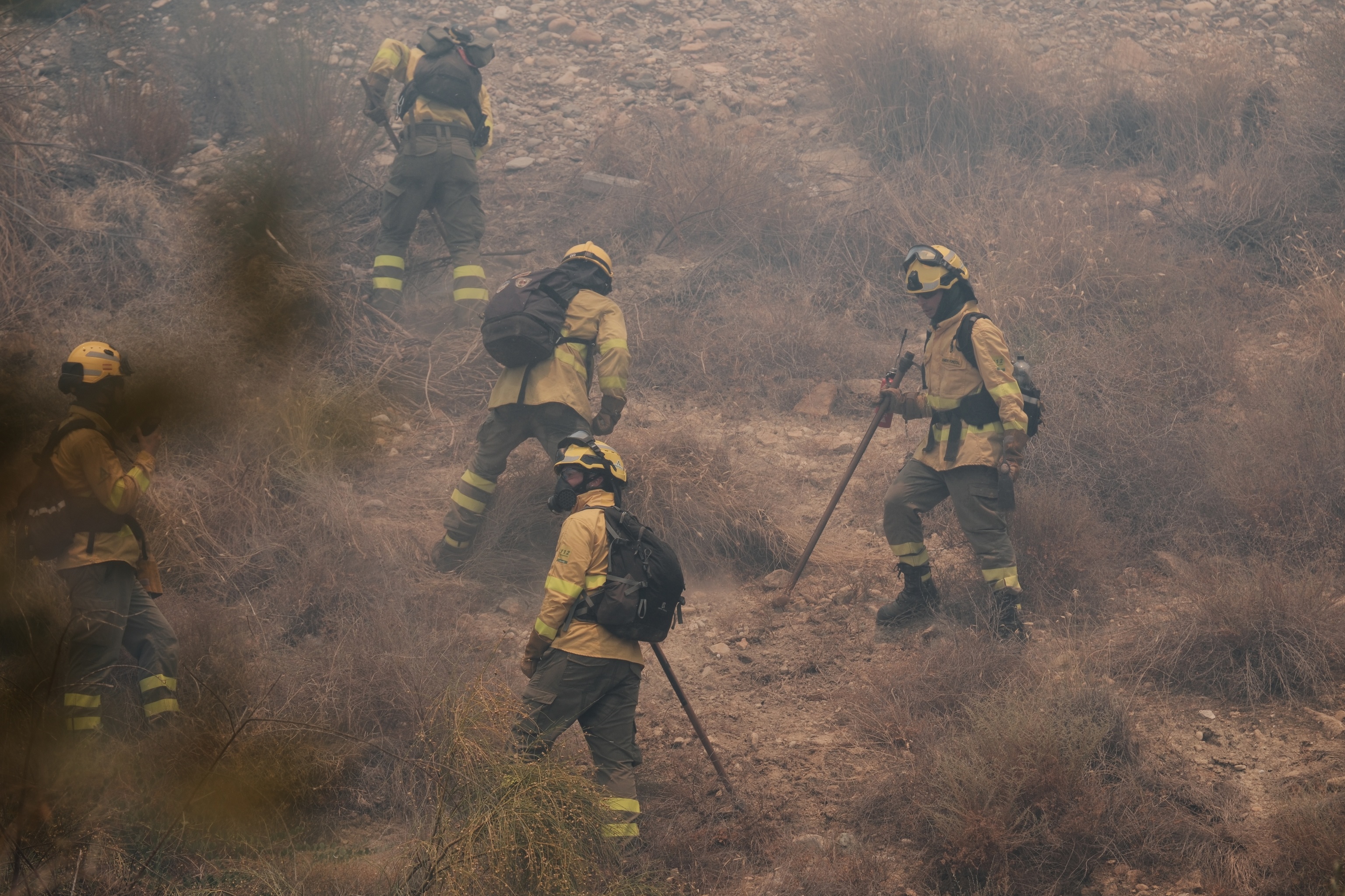 Varios bomberos forestales realizan labores de extinción en el incendio de Los Gallardos (Almería).
