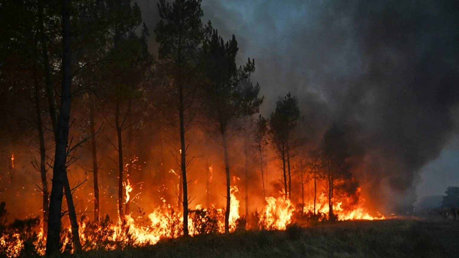 Trees bur as a wildfire rages near Marcheprime, outside, Bordeaux, France, Sunday, July 26, 2026