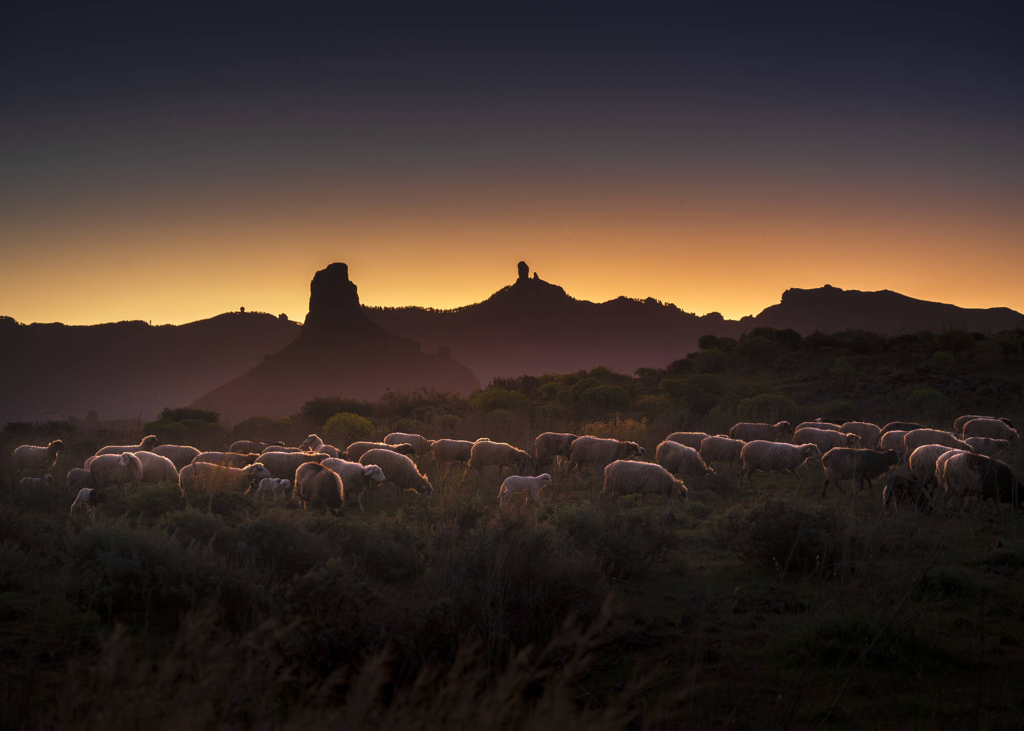 Mesa de Acusa, Artenara. (Nacho González Oramas)