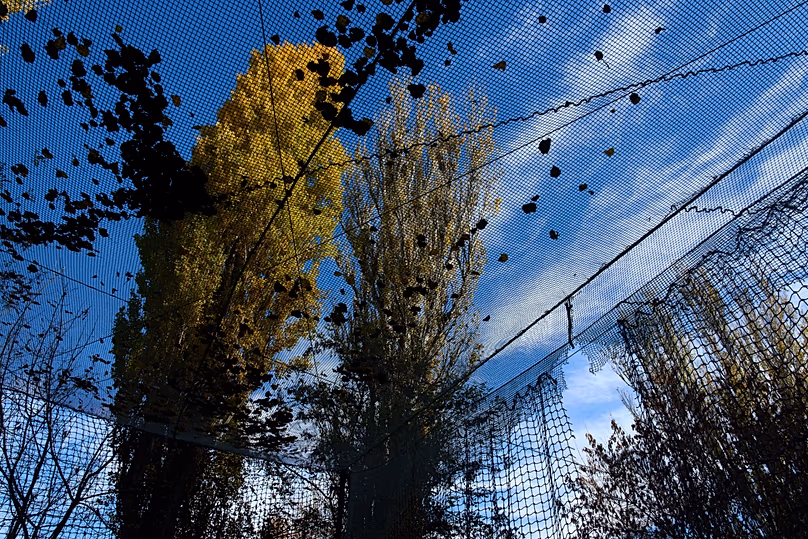 An anti-FPV-drone net covers the street in the residential neighbourhood in the frontline city of Kherson, 3 November, 2025