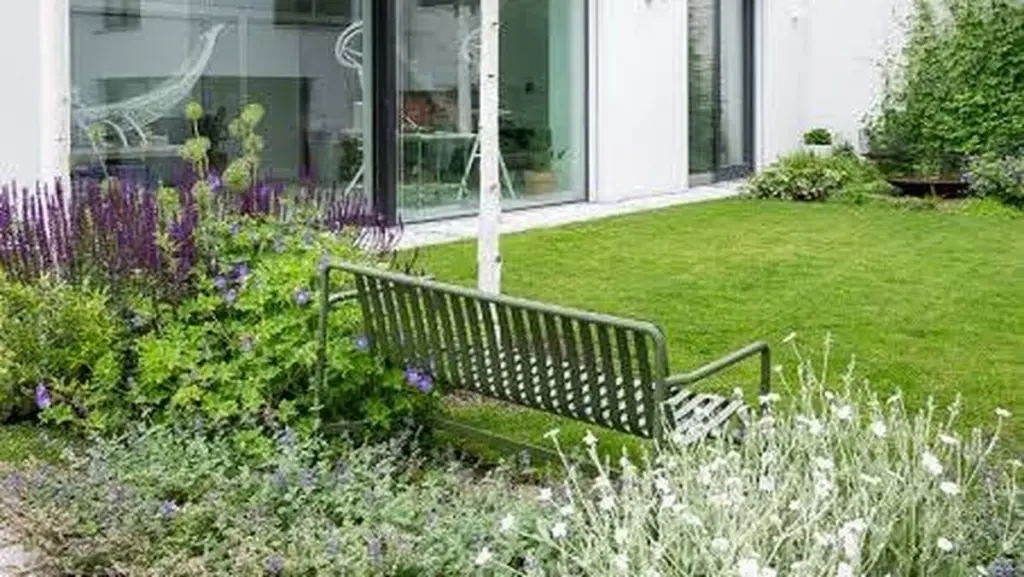 Calor en tu Jardín: el truco del Abedul para bajar 8 grados sin aire