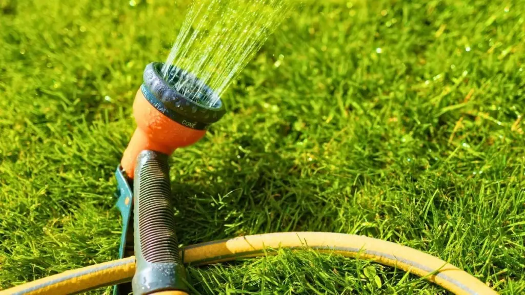 Césped amarillento por el calor: el truco de la Sal de Epsom para revivirlo