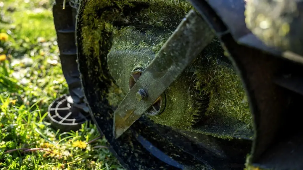 Césped amarillento: el truco de la lijadora de banda para tu cuchilla de cortacésped