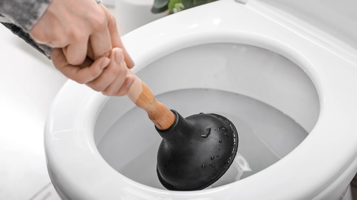 Champú en el inodoro: el truco de 15 minutos para un brillo espejo - image 1