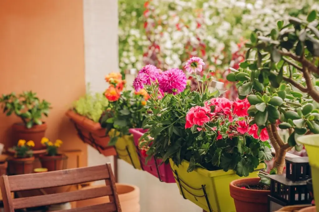 Cuidado con tus Plantas: el error en el Riego que las seca en 24 horas