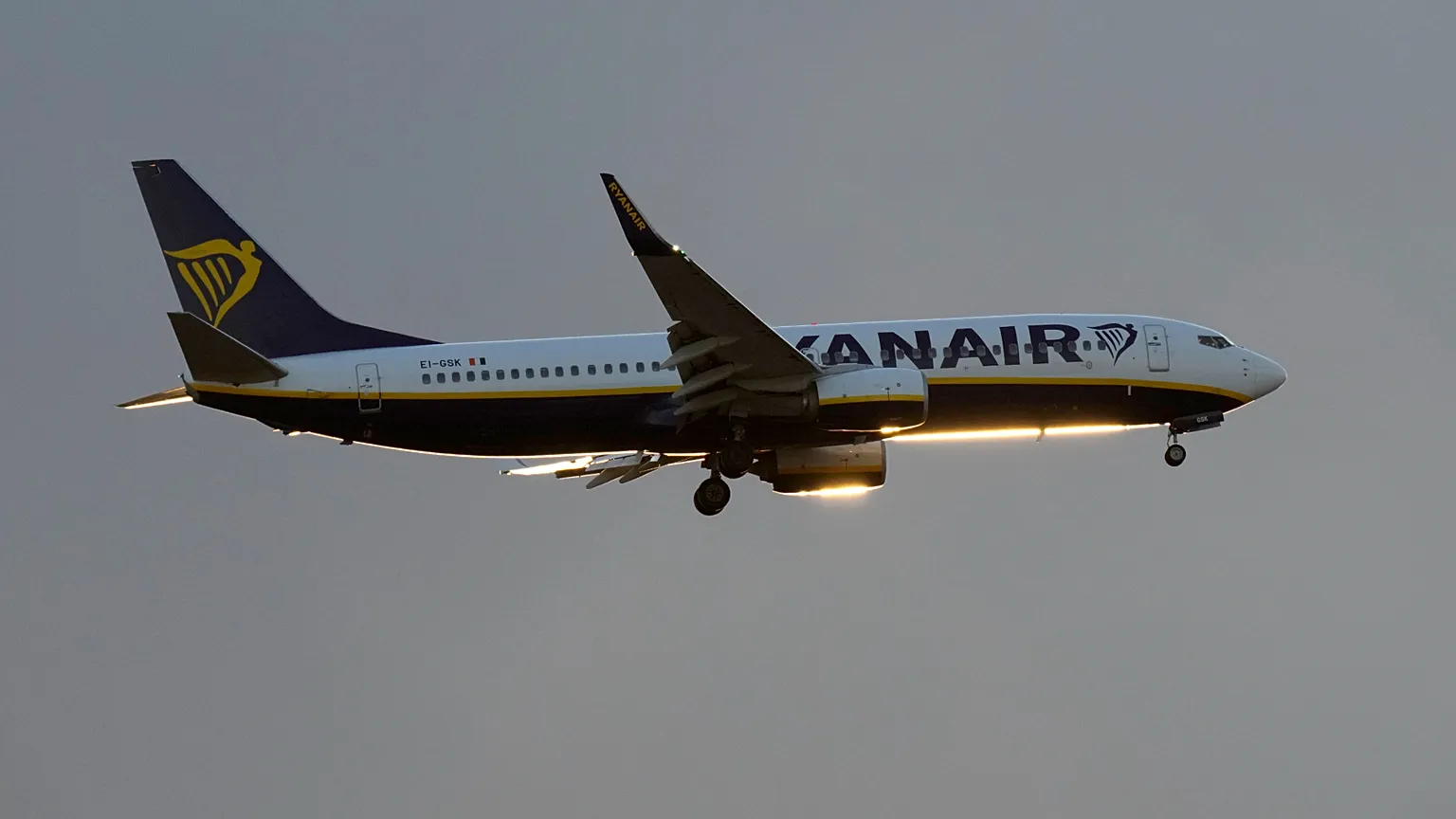 A Ryanair aircraft (file photo)