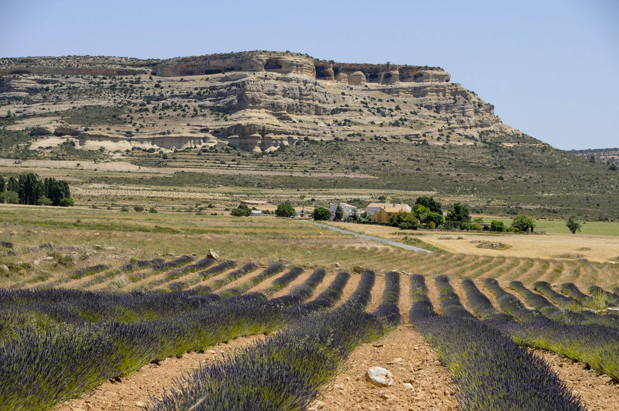 Foto: El pueblo que también presume de festival de lavanda. (Turismo Región de Murcia)