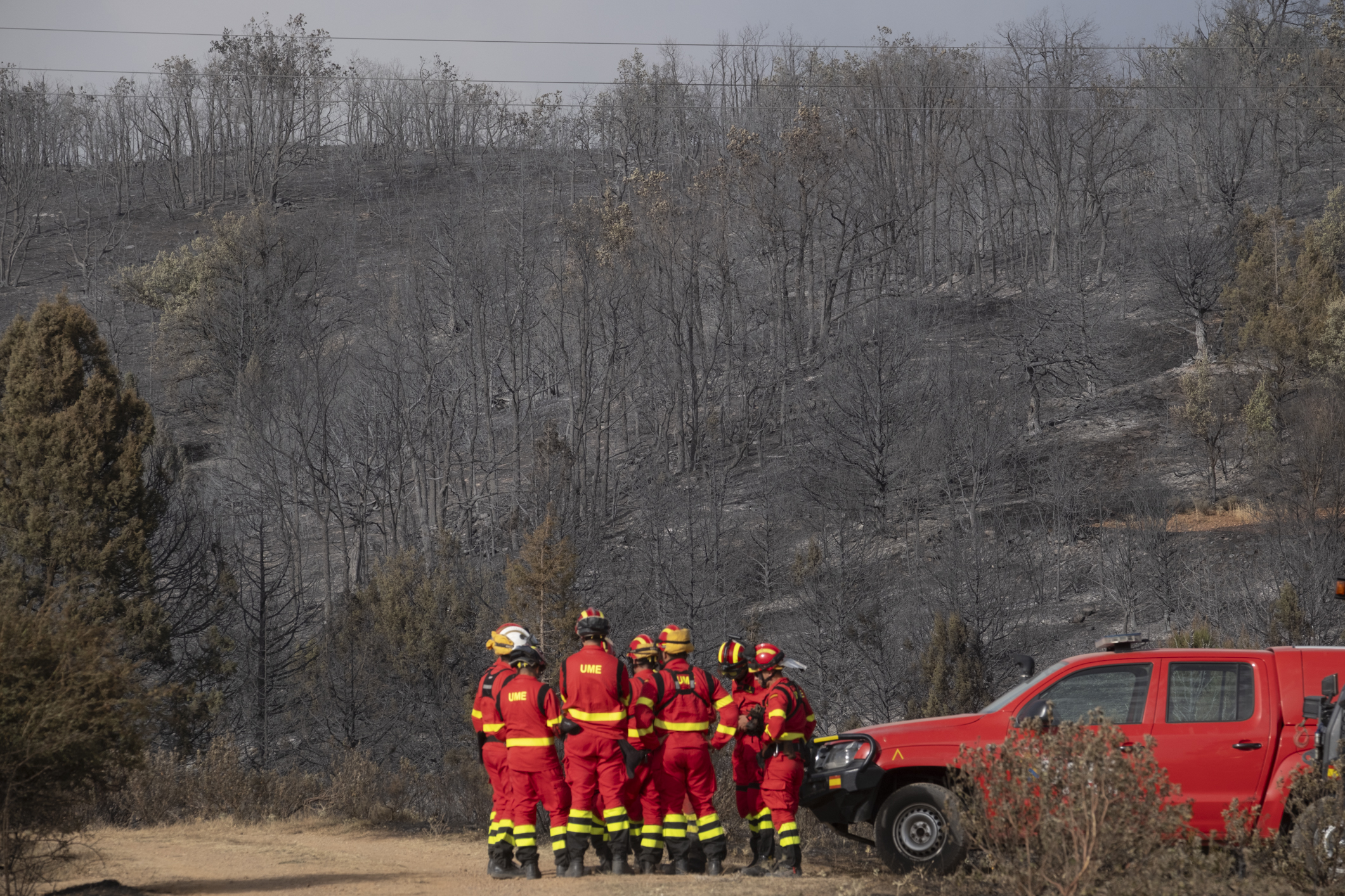 Varios miembros de la UME en una zona calcinada por el fuego en Guadalajara.