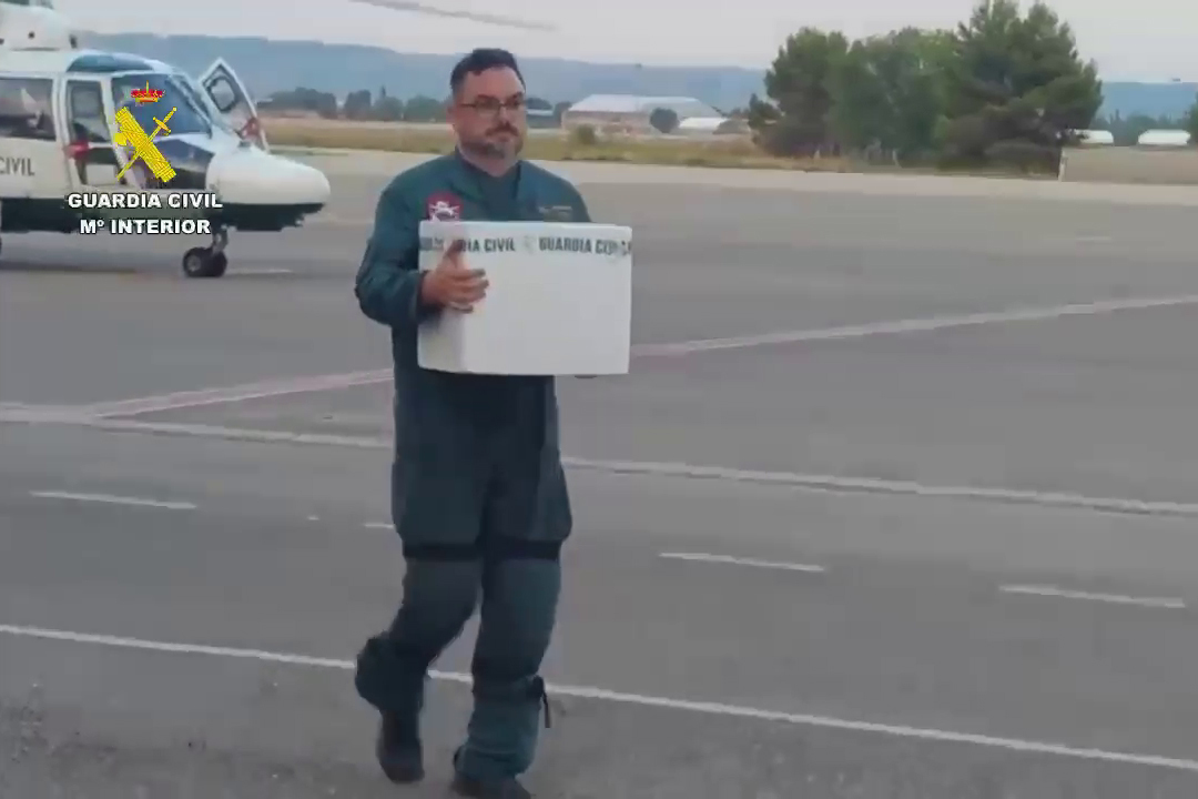 Un guardia civil traslada los restos de los fallecidos para su análisis genético y posterior identificación en Madrid.
