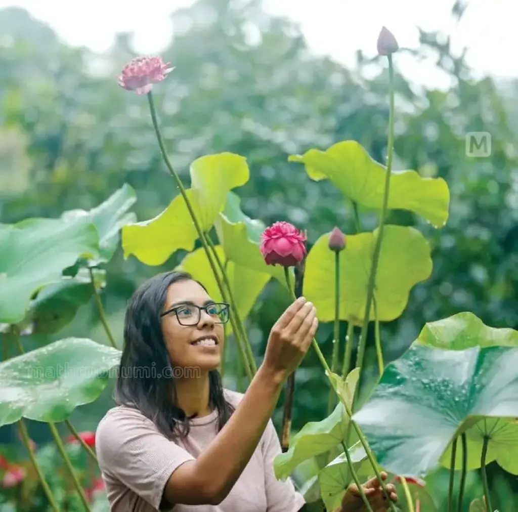 El éxito de Melanie Shibu: cómo ganar dinero en casa con el cultivo de Loto
