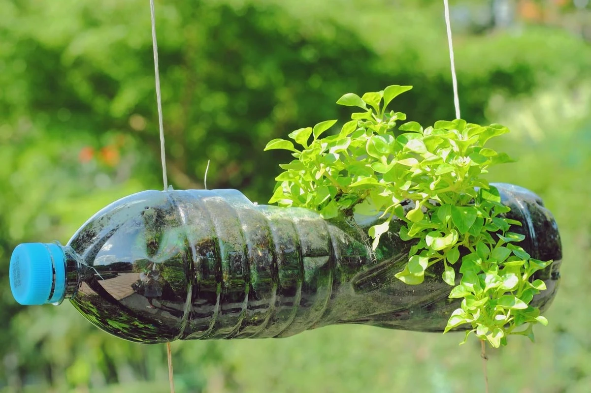 El truco de Brasil con botellas de plástico: jardín impecable y sin químicos - image 1