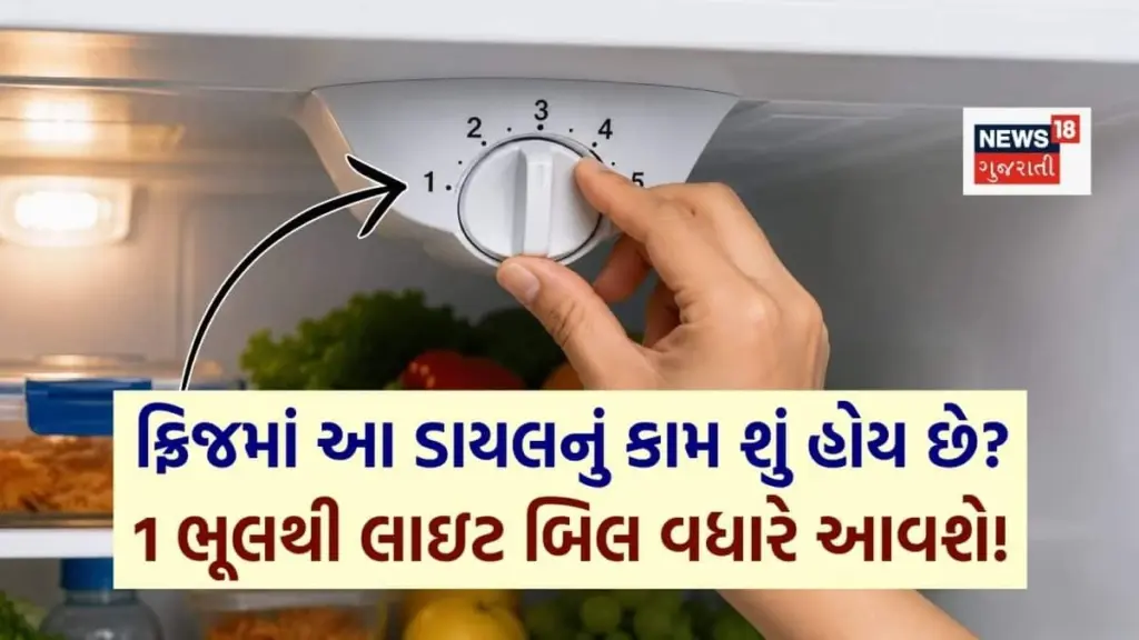 Factura de luz alta: el error en la configuración de enfriamiento del refrigerador