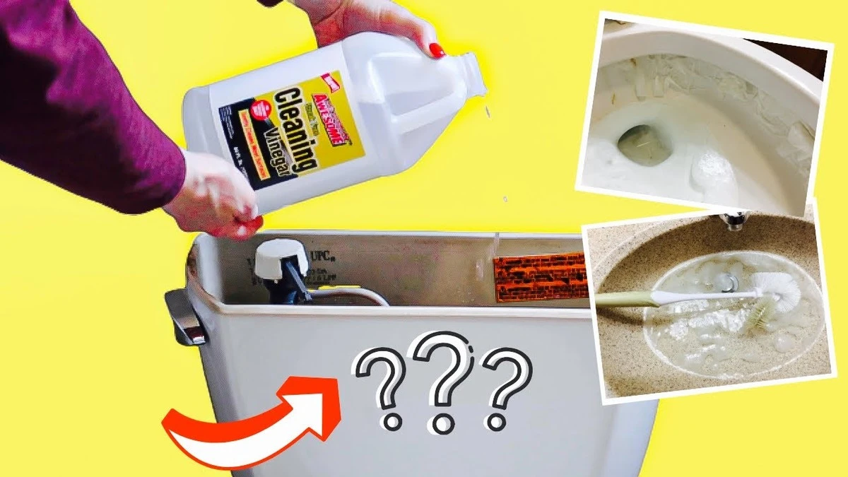 Inodoro impecable sin cal: el truco del vinagre blanco antes de dormir - image 1
