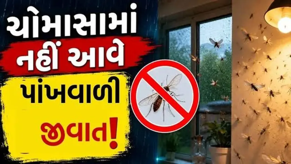 Invasión de insectos: cambia este detalle en tus luces durante la temporada de monzones