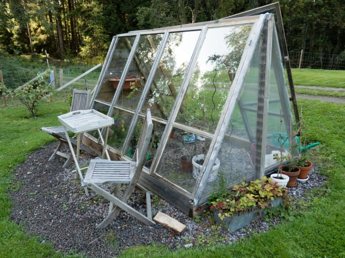 Invernadero con ventanas viejas: el truco de Helle Damgaard para ahorrar cientos - image 1