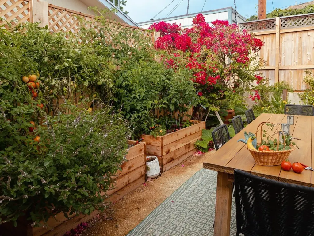 Jardinería sin esfuerzo: por qué un lecho de cultivo elevado salvará tu patio