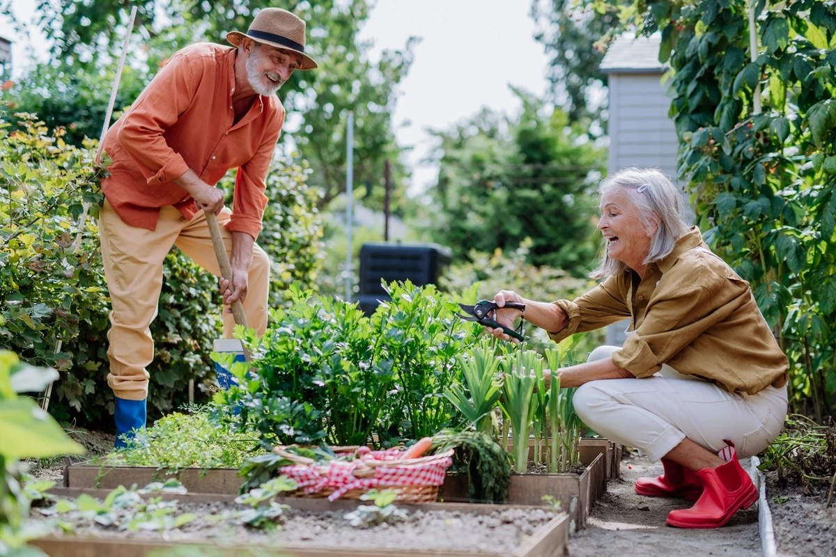 Jardinería y Salud mental: el secreto para rejuvenecer tu edad biológica un 22% - image 1