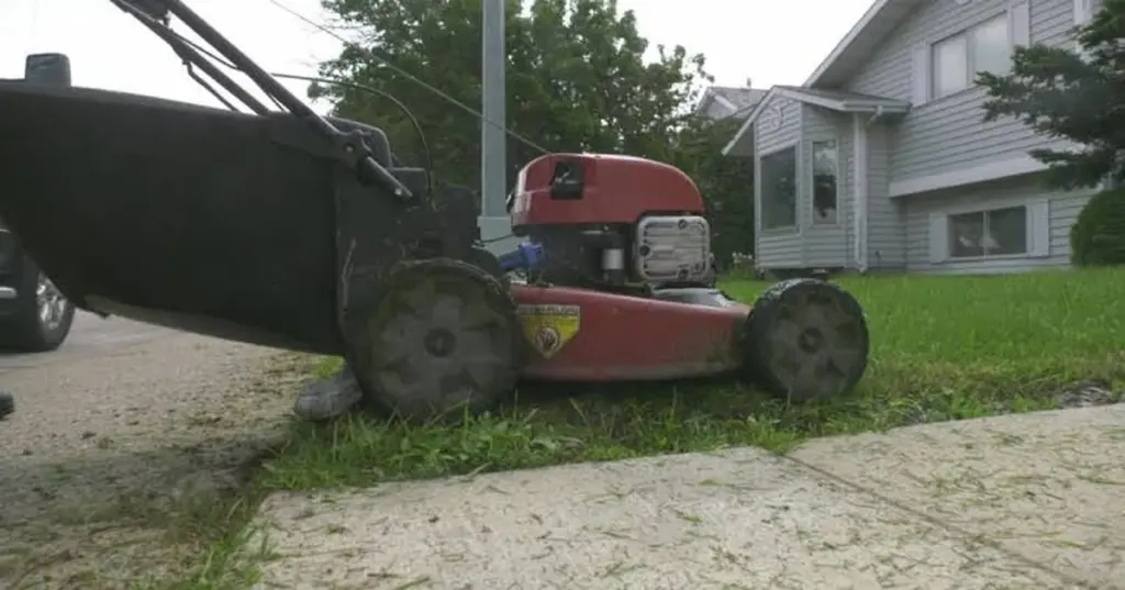 Jardines en peligro en Edmonton: el truco para salvar tus plantas este Día de Canadá