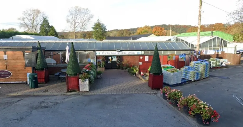 Jardín eterno sin riego: el secreto de Poplar Tree Garden Centre y Brambles Coffee Shop