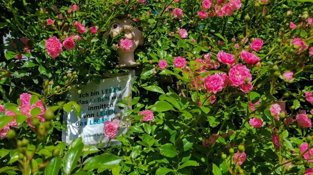 Jardín seco y calor: el truco de Roland Wiedenmann en Aulendorf para enfriarlo 5 grados